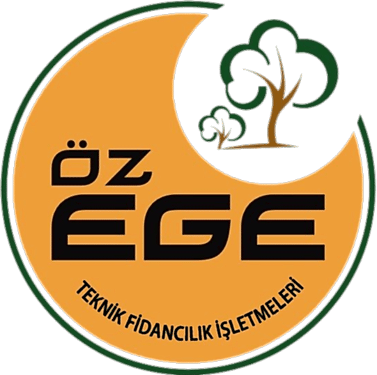 Öz Ege Teknik Fidancılık