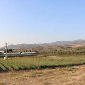 IMG_8411