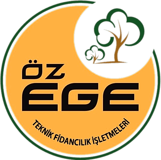 Öz Ege Teknik Fidancılık | Zeytin Fidanı | Mavi Sertifikalı Zeytin Fidanı